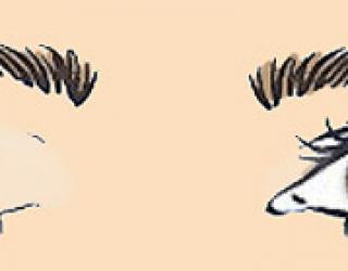 Глаза с опущенными уголками: макияж, рекомендации